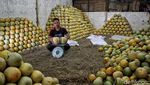 Manisnya Permintaan Buah Segar di Bulan Ramadan