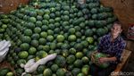Manisnya Permintaan Buah Segar di Bulan Ramadan