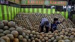 Manisnya Permintaan Buah Segar di Bulan Ramadan