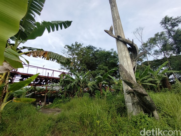 Namun ternyata, di Jalan Sukolilo Nomor 20, Kecamatan Bulak juga ada Patung Sura dan Baya. Patung tersebut beda dari tiga patung yang sudah dikenal luas.