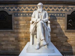 Setelah Hilang 21 Tahun, Buku Evolusi Darwin Dikembalikan