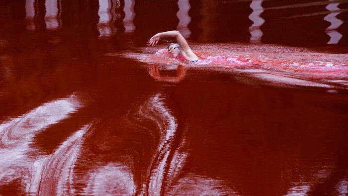 Tandai Tragedi Berdarah Ukraina, Kolam di Kedutaan Rusia Diwarnai Merah Olympic and world champion Ruta Meilutyte swims across a pond colored red to signify blood, in front of the Russian embassy in Vilnius, Lithuania, Wednesday, April 6, 2022. (AP Photo/Andrius Repsys)