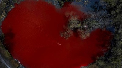 Tandai Tragedi Berdarah Ukraina, Kolam di Kedutaan Rusia Ini Jadi Merah