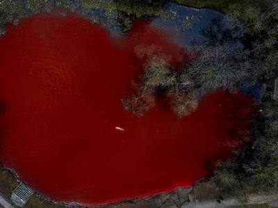 Tandai Tragedi Berdarah Ukraina, Kolam di Kedutaan Rusia Ini Jadi Merah