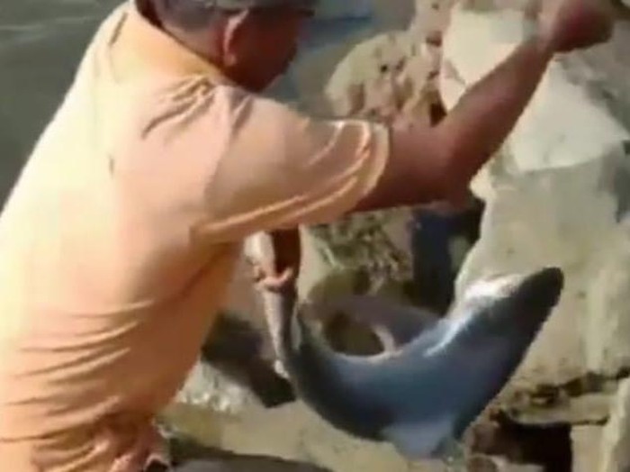 Tangkapan layar video pemancing dapat ikan hiu di Kendari.