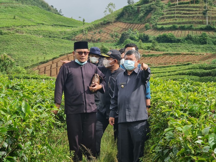Bupati Garut Pastikan Siap Pasok Kebutuhan Hortikultura buat Hari Raya