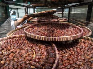 Jangan Terkecoh, Ini Tomat dengan Rasa Kurma dari Semarang