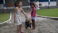 Mengutip AP, Olveira diadopsi oleh batalion setempat beberapa waktu lalu. Anak anjing itu tersesat dan terluka saat mendatangi stasiun batalion tempat tinggalnya saat ini.