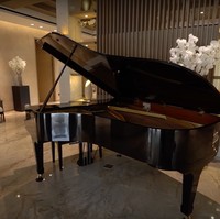 Masuk ke dalam rumah disambut dengan sebuah piano berwarna hitam yang cukup besar. Sebagai musisi, Maia Estianty sendiri diketahui cukup piawai dalam bermain musik, salah satunya piano. Foto: YouTube/Taulany TV