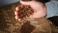 Berdasarkan data dari Dinas Tanaman Pangan Hortikultura dan Perkebunan Sumbar hingga 2022 terdapat 27 ribu hektare lahan kopi di daerah itu yang terdiri atas robusta 17 ribu hektare dan arabika 10 ribu hektare. 