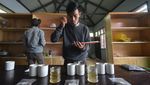 Aroma Kopi Solok Radjo dari Ranah Minang yang Mendunia