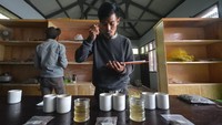 Dalam dua tahun terakhir kopi arabika di Sumbar tumbuh pesat bahkan berdasarkan pengakuan para pencicip cita rasa kopi ada yang kurang jika tidak ada kopi dari Sumbar 