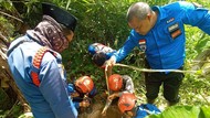 Mau Perbaiki Mesin Air, Warga di Bogor Kaget Lihat Kobra