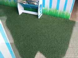 Jangan Coba-coba Lihat Foto Ini Sekali, Mata Bakal Tertipu