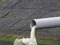 Jangan Coba-coba Lihat Foto Ini Sekali, Mata Bakal Tertipu