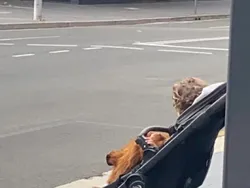 Jangan Coba-coba Lihat Foto Ini Sekali, Mata Bakal Tertipu