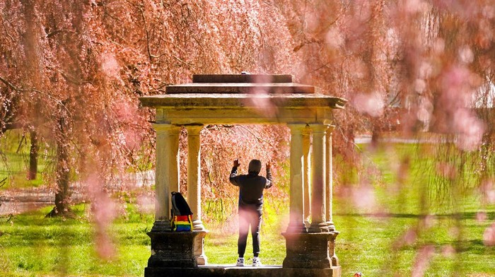 People make photographs beneath the cherry blossoms at the Fairmount Park Horticulture Center in Philadelphia, Friday, April 8, 2022. (AP Photo/Matt Rourke)