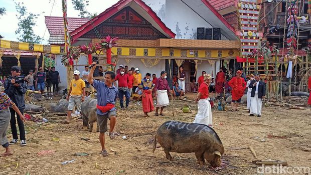 Tradisi Mangrara Banua merupakan budaya masyarakat suku Toraja, Sulsel yang masih terus berjalan sampai saat ini.