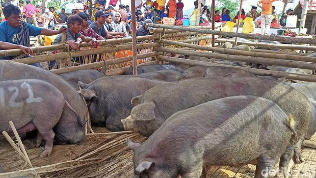 Tradisi Mangrara Banua merupakan budaya masyarakat suku Toraja, Sulsel yang masih terus berjalan sampai saat ini.