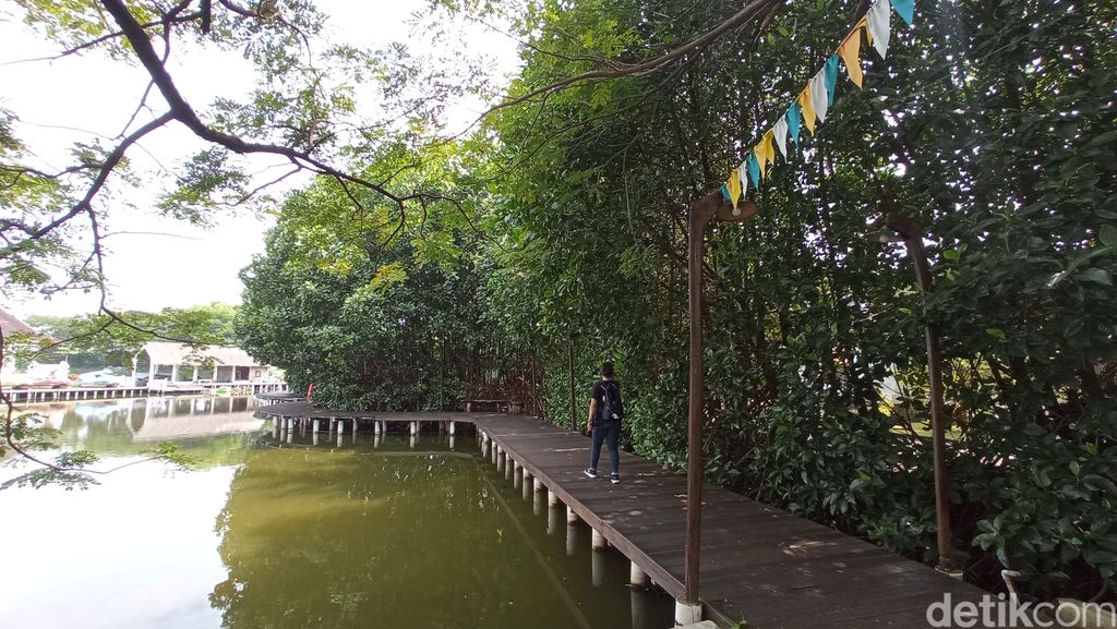 Trekking mangrove Grand Maerakaca Semarang