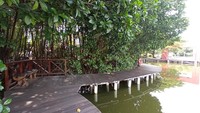 Mulai buka pukul 07.00-18.00 WIB, pagi hari menjadi waktu terbaik untuk jalan-jalan ke sini.  (Bonauli/detikcom)