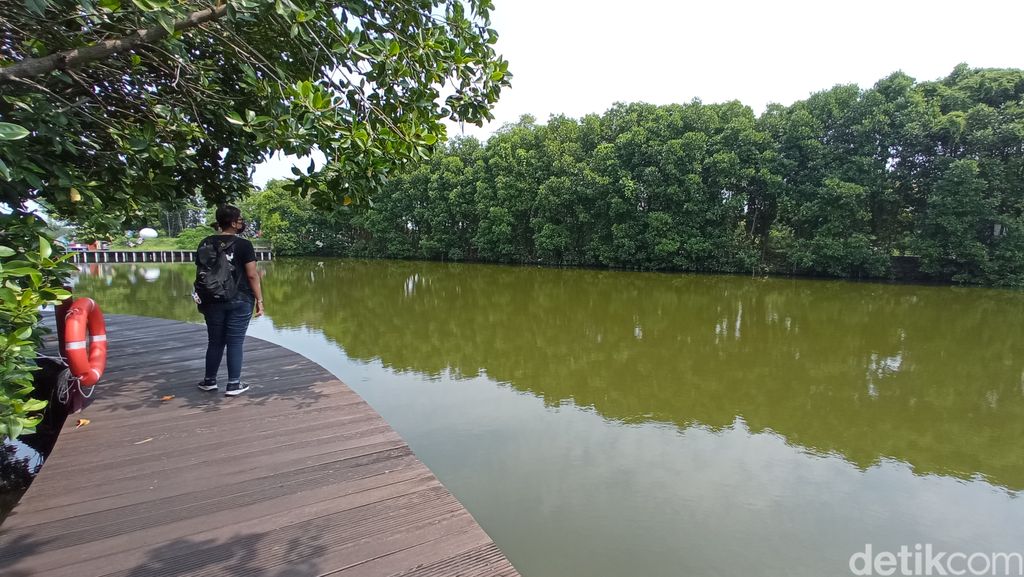 Trekking mangrove Grand Maerakaca Semarang