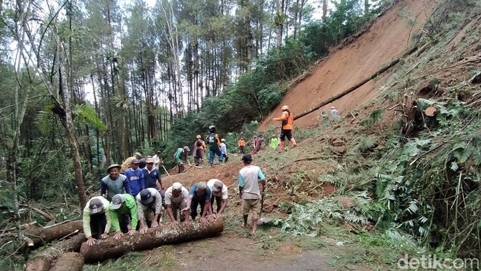 Warga bergotong royong membersihkan material longsoran di hutan pinus, Magelang, Sabtu (9/4/2022).