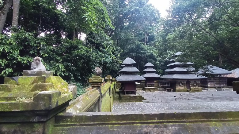 alas kedaton Obyek Wisata Alas Kedaton