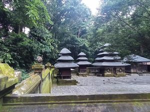 Berwisata ke Alas Kedaton, Hutan Lindung yang Dihuni Ribuan Kera