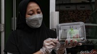 Harga yang ditawarkan makanan dari Mak Demplon adalah Rp.10.000 per porsi.