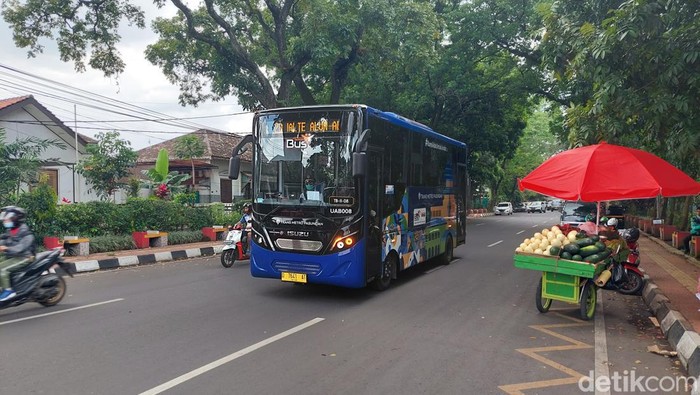 Bus TMP koridor 2.