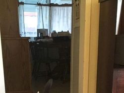 Kumpulan Potret Kucing dengan Motif Unik di Dunia