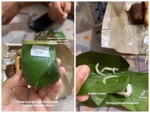 Zonk! Beli Nasi Kucing, Netizen Ini Dapat Nasi dan Lauk Seupil