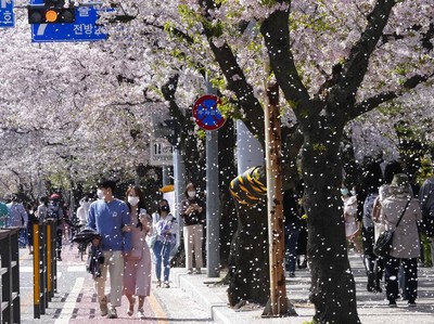 Annyeonghaseyo! Korea Selatan Kembali Buka Visa Turis 1 Juni