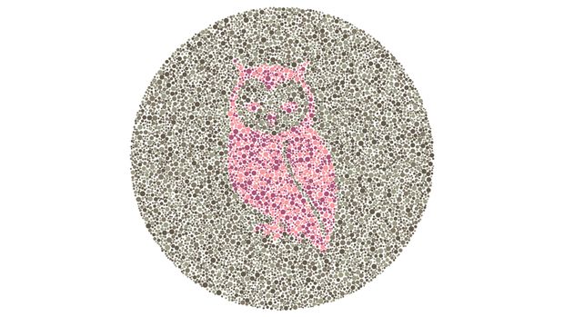 Asah otak Tes asah otak dan buta warna detikHealth.