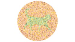 Ayo kembalikan fokus pikiran kamu dengan menguji ketajaman mata melihat siluet warna. Hewan apa yang tersembunyi di gambar ini?