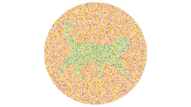 Asah otak Tes asah otak dan buta warna detikHealth.