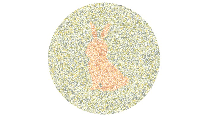 Tes asah otak dan buta warna detikHealth.