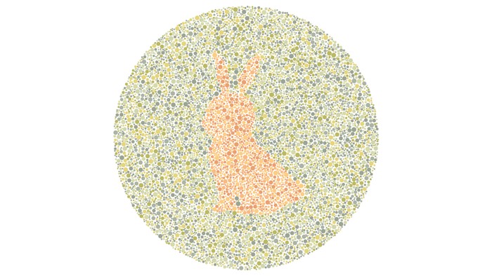 Yakin Nggak Punya Masalah Mata? Buktikan dengan Tes Buta Warna Ini