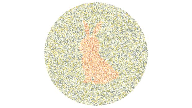 Asah otak Tes asah otak dan buta warna detikHealth.