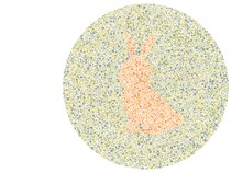 Yakin Nggak Punya Masalah Mata? Buktikan dengan Tes Buta Warna Ini