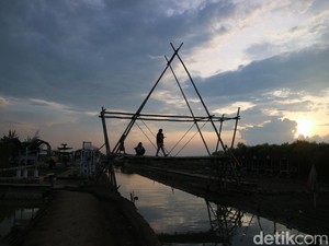 Ngabuburit Syahdu di Hutan Mangrove Pantai Kertomulyo Pati
