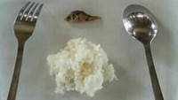 Memanfaatkan sisa persediaan lauk yang ada, tampaknya ada ikan yang kesepian di piring. Segenggam nasi dan seekor ikan kecil sendirian di piring cukup untuk berimajinasi seolah makan fine dining. Foto: Twitter/txtdrgajelas