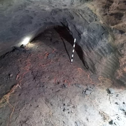 Penemuan lubang diduga goa di Tabanan, Bali