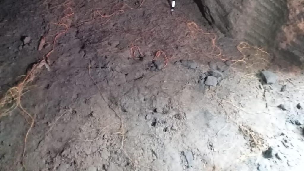 Ada Gua Ditemukan di Pekarangan Rumah, Balai Arkeologi Bali Turun Tangan