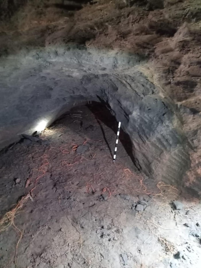 Penemuan lubang diduga goa di Tabanan, Bali