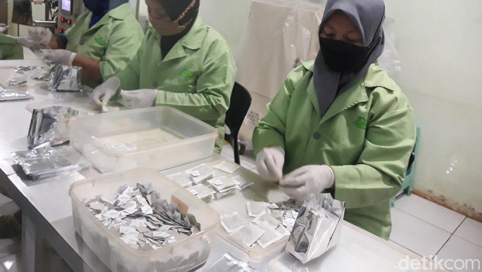 Produksi minuman herbal teh rosella di Bantul, Sein (11/4/2022).
