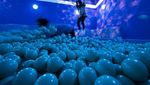 Pemburu Konten, Ini Dia Museum yang Pas Banget Buatmu