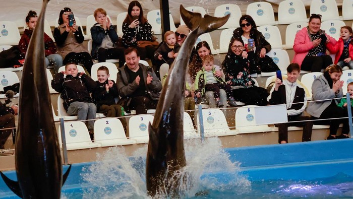 Ukrainian families, who have fled Kherson amid the Russian invasion, watch a dolphin show at a hotel, in Odesa, Ukraine April 9, 2022. Picture taken April 9, 2022. REUTERS/Ueslei Marcelino     TPX IMAGES OF THE DAY