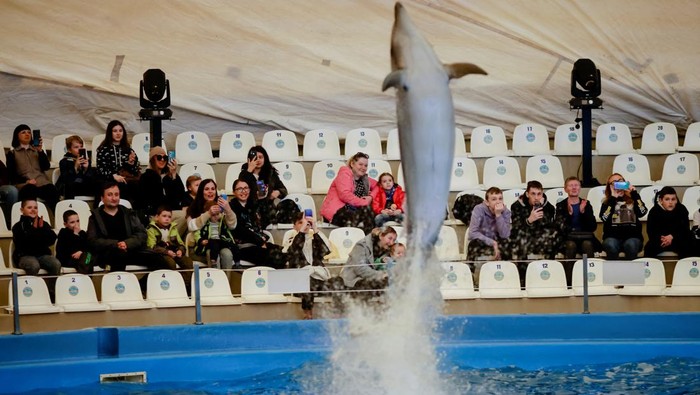 Ukrainian families, who have fled Kherson amid the Russian invasion, watch a dolphin show at a hotel, in Odesa, Ukraine April 9, 2022. Picture taken April 9, 2022. REUTERS/Ueslei Marcelino     TPX IMAGES OF THE DAY